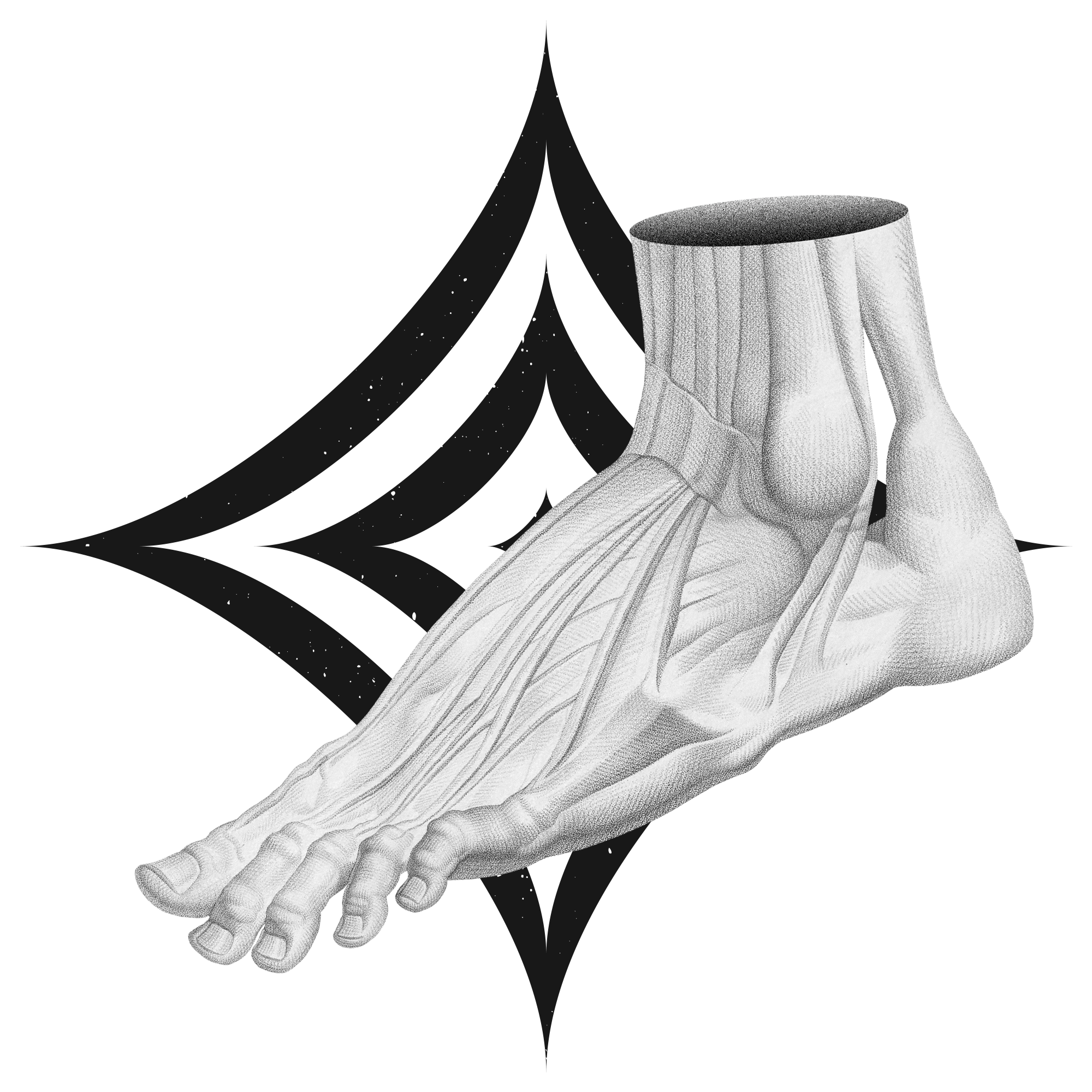 The Sprained Ankle Clinic
