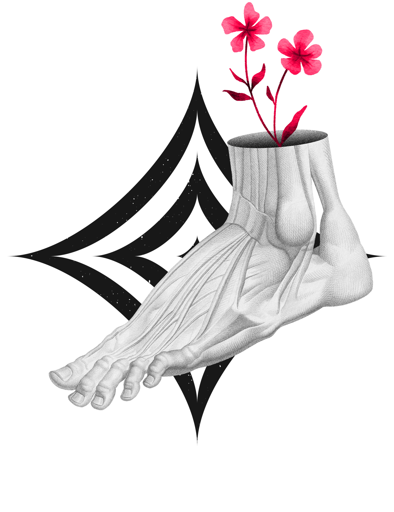 The Sprained Ankle Clinic