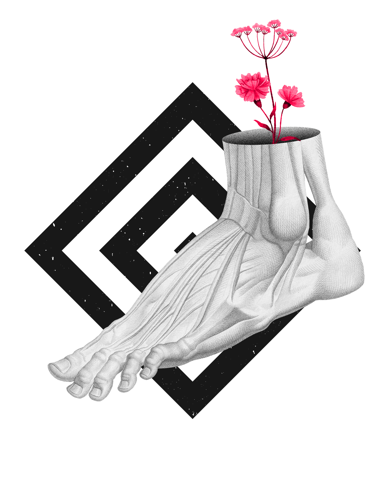 The Sprained Ankle Clinic